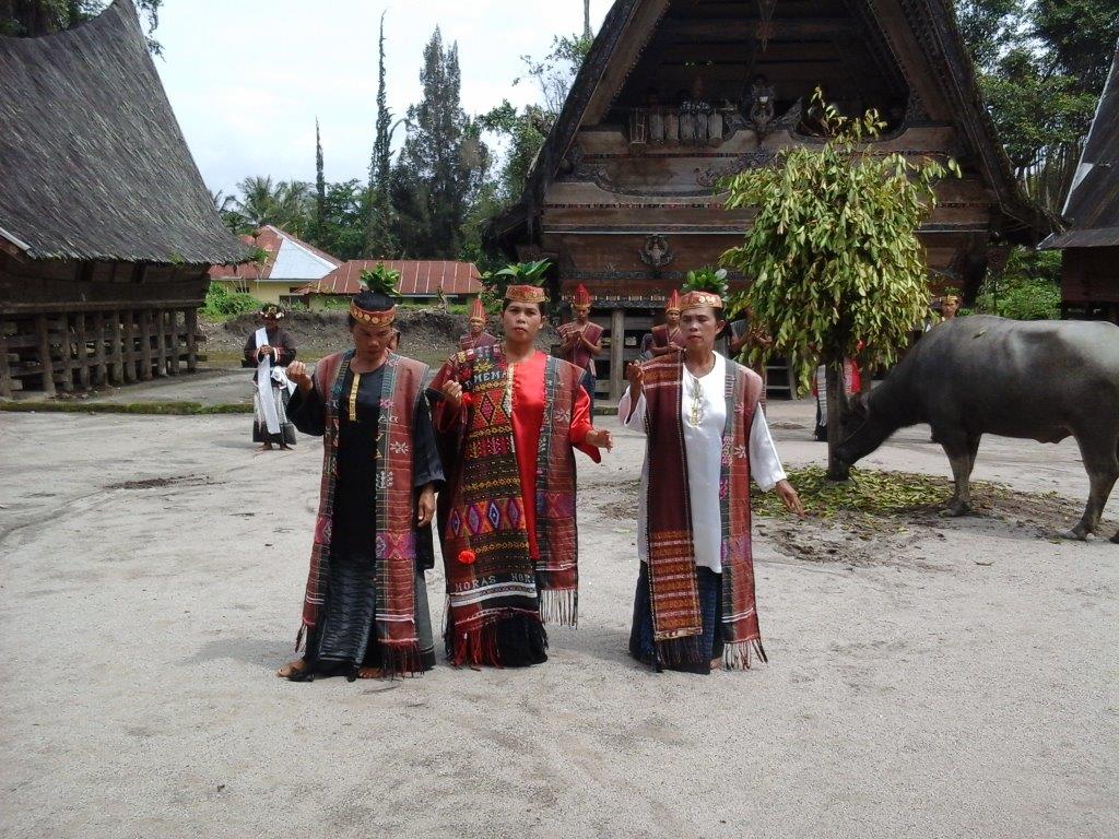 sumatra 2013